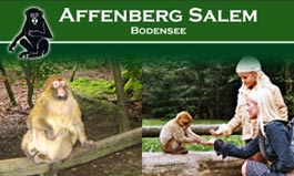 Affenberg Salem